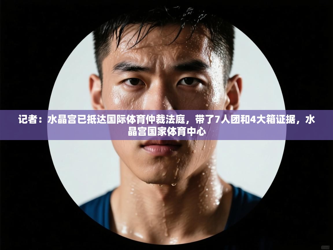 记者：水晶宫已抵达国际体育仲裁法庭，带了7人团和4大箱证据，水晶宫国家体育中心  第1张