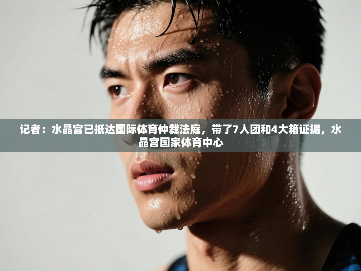 记者：水晶宫已抵达国际体育仲裁法庭，带了7人团和4大箱证据，水晶宫国家体育中心  第2张