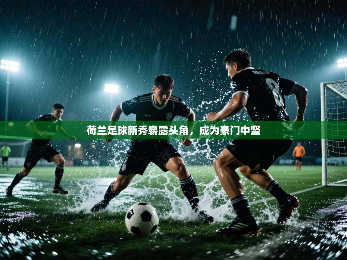 荷兰足球新秀崭露头角,成为豪门中坚 第2张