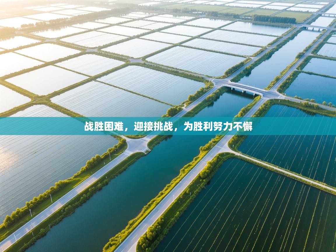 战胜困难,迎接挑战,为胜利努力不懈