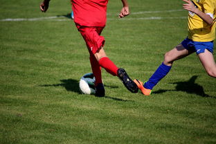 开云体育平台官网入口-弗赖堡球员在训练中努力准备接下来的比赛