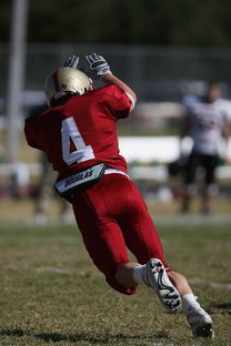 开云体育官网平台-太阳签下新秀球员，助力球队崛起